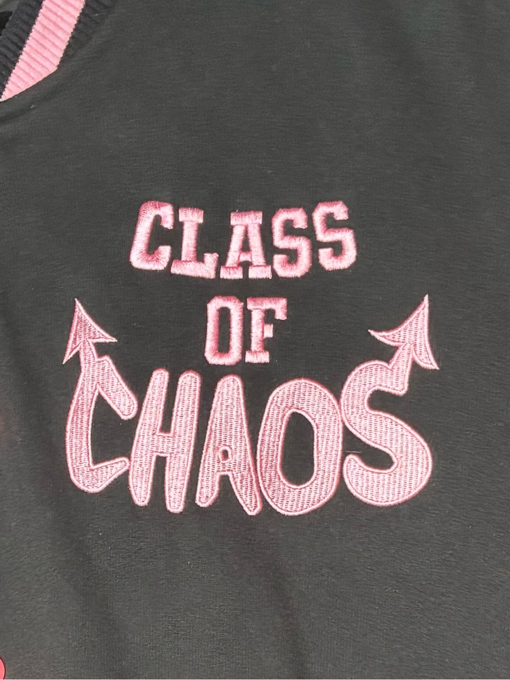 PUNKALOPI 2X Mugi Mart Creator Merch Bomber Jacket Rabbit “Class of Chaos” Pink - Picture 5 of 10